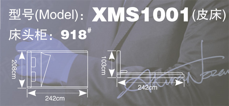 XMS1001(皮床)(图2)
